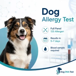 Dog Allergy Test - Full Panel 125 Allergen