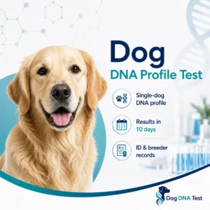 Dog DNA profile test kit for creating a genetic profile of dogs using a home DNA sample for identification and record keeping