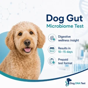 Dog Gut Microbiome Test