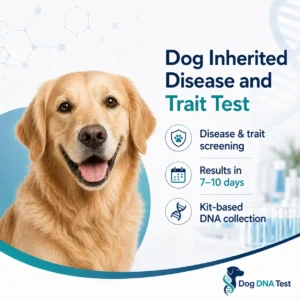 Dog DNA test kit for detecting inherited diseases and traits in dogs using a home genetic sample