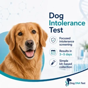 Dog intolerance test kit for identifying food and environmental sensitivities in dogs using a home sample