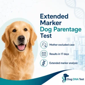 Dog parentage DNA test kit using extended genetic markers to determine parentage and lineage in dogs