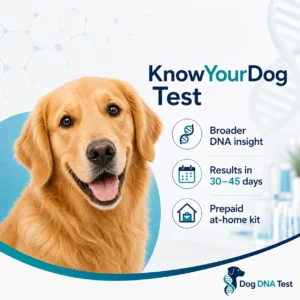 KnowYourDog Test – Comprehensive Canine DNA and Health Screening