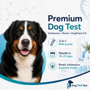 Premium Dog Test Intolerance Breed DogCheck 4.0 – Comprehensive Canine Health Screening